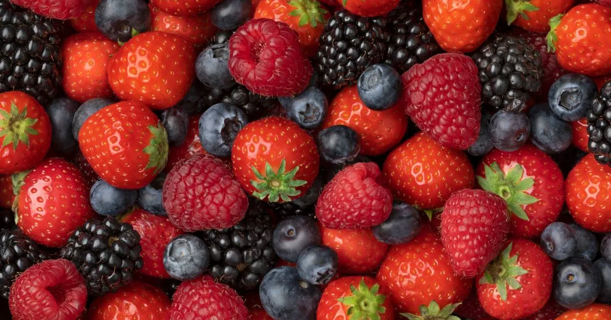 Президент Aneberries Мигель Анхель Курьель: мексиканская ягодная отрасль имеет прочный фундамент для роста
