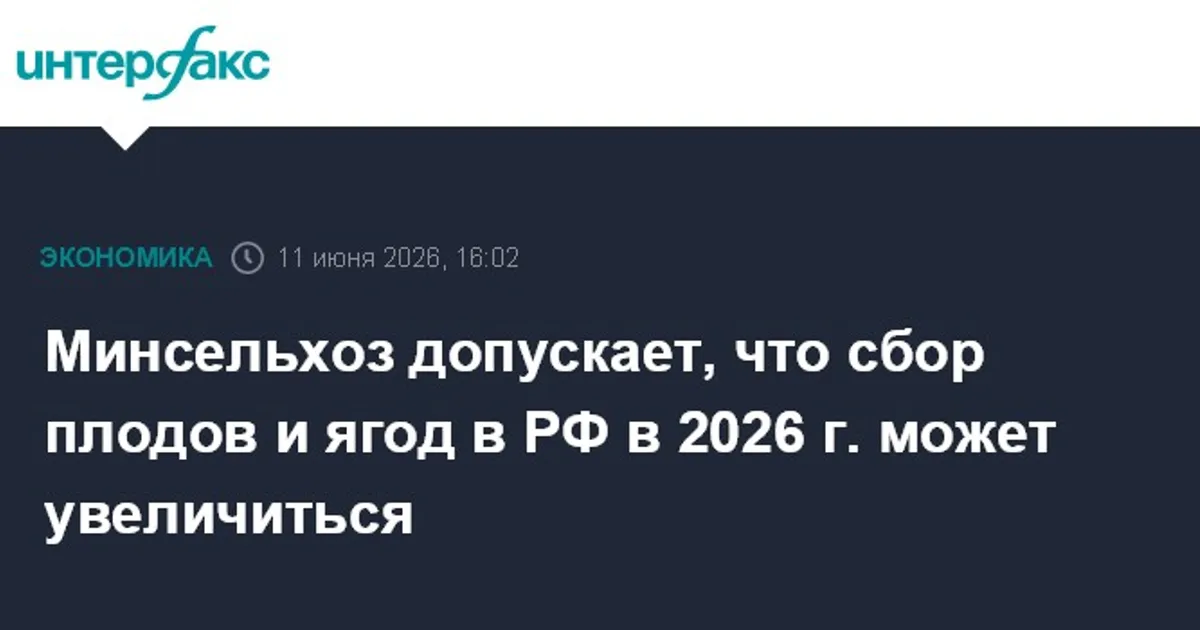 Минсельхоз РФ ожидает увеличения сбора плодов и ягод в 2026 году