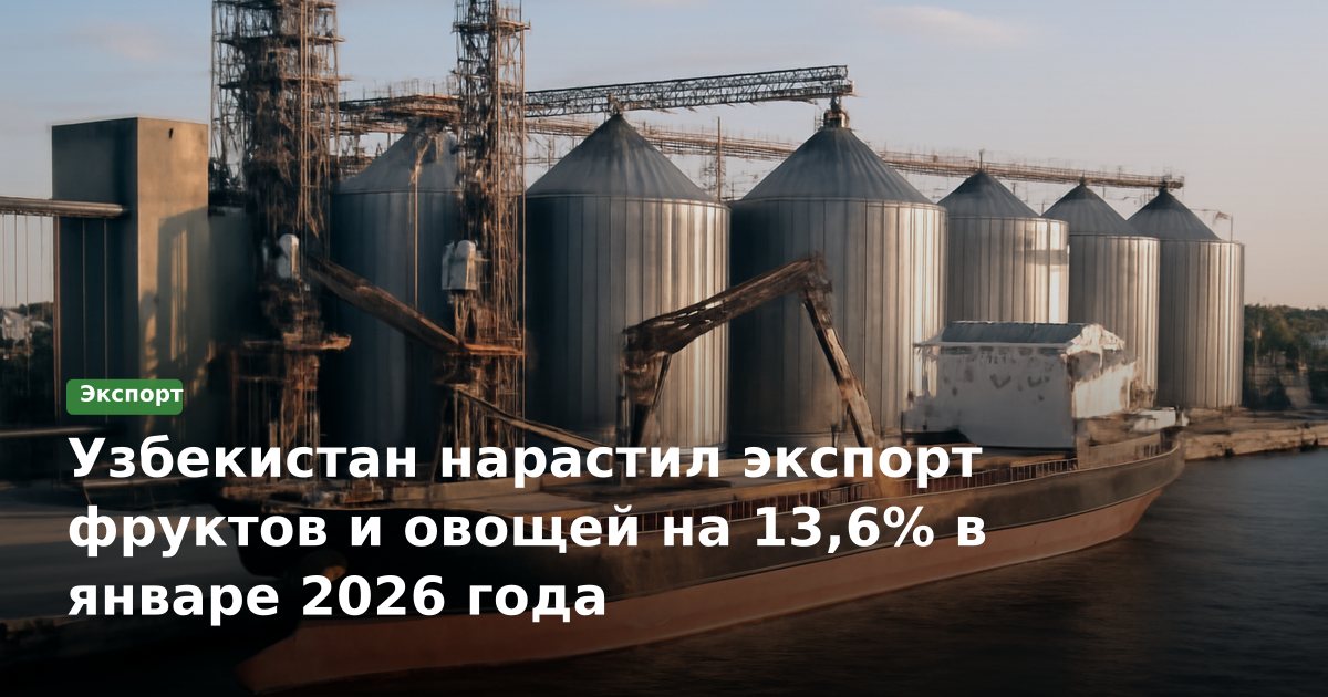 Узбекистан увеличил экспорт фруктов и овощей на 13,6% в январе 2026 года