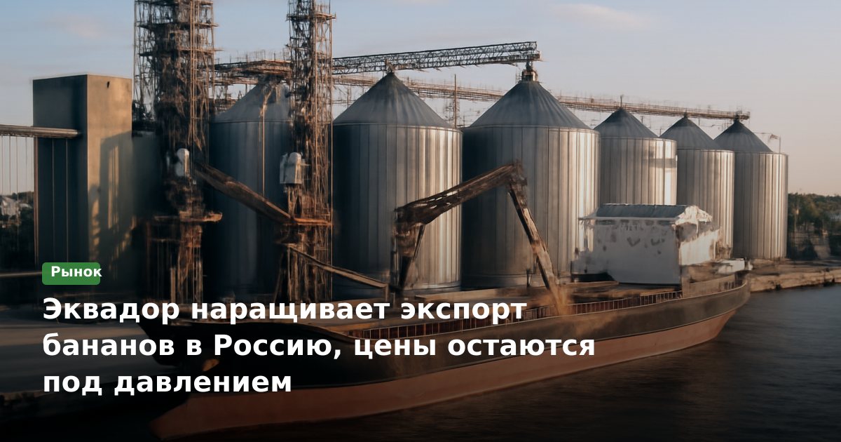 Эквадор наращивает поставки бананов в Россию — цены в ритейле под давлением