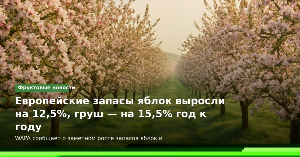 Европейские запасы яблок выросли на 12,5%, груш — на 15,5% год к году