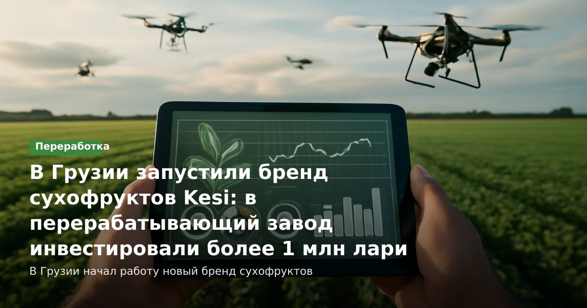 В Грузии запустили бренд сухофруктов Kesi: в перерабатывающий завод инвестировали более 1 млн лари