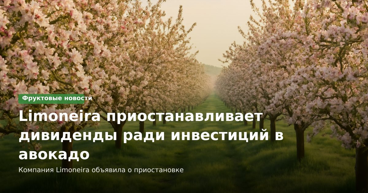 Limoneira приостанавливает дивиденды ради инвестиций в авокадо