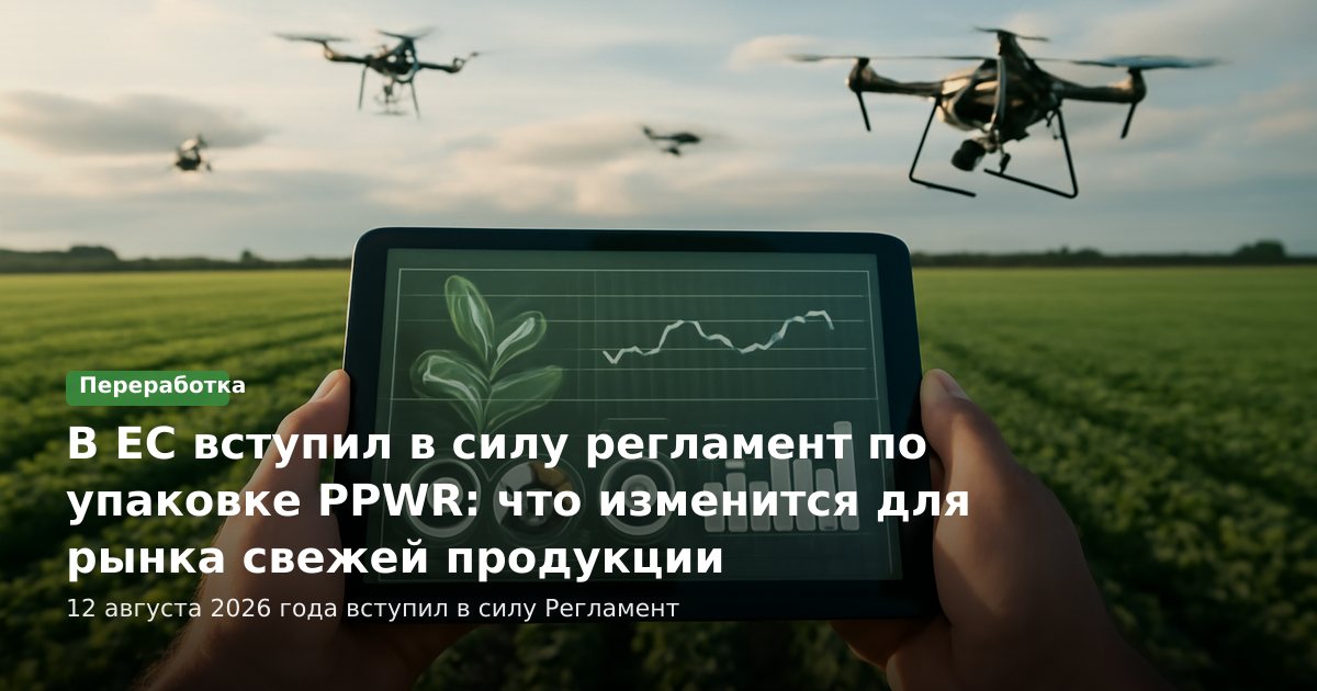 В ЕС вступил в силу регламент по упаковке PPWR: что изменится для рынка свежей плодоовощной продукции