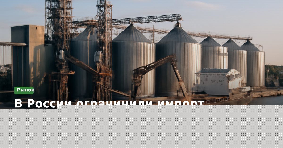 В России ограничили импорт турецких фруктов и ягод