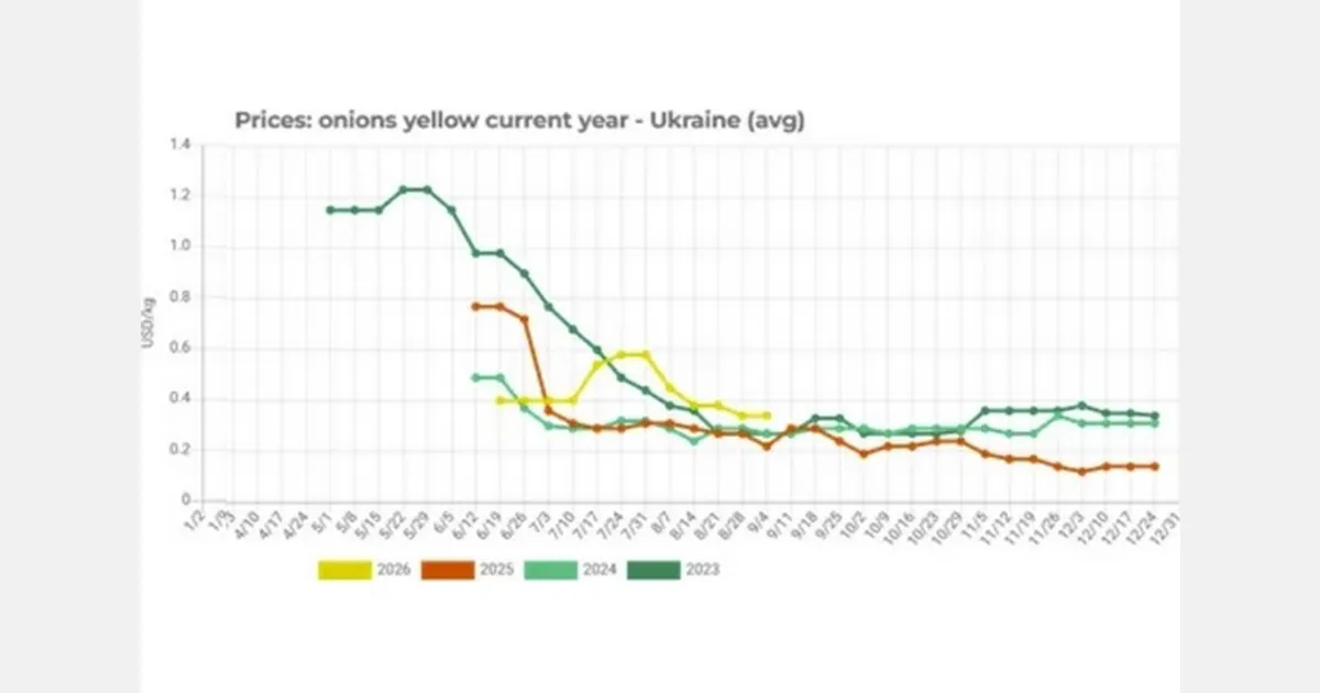 Цены на лук в России выросли на 21% из‑за оптового спроса и закладки на хранение