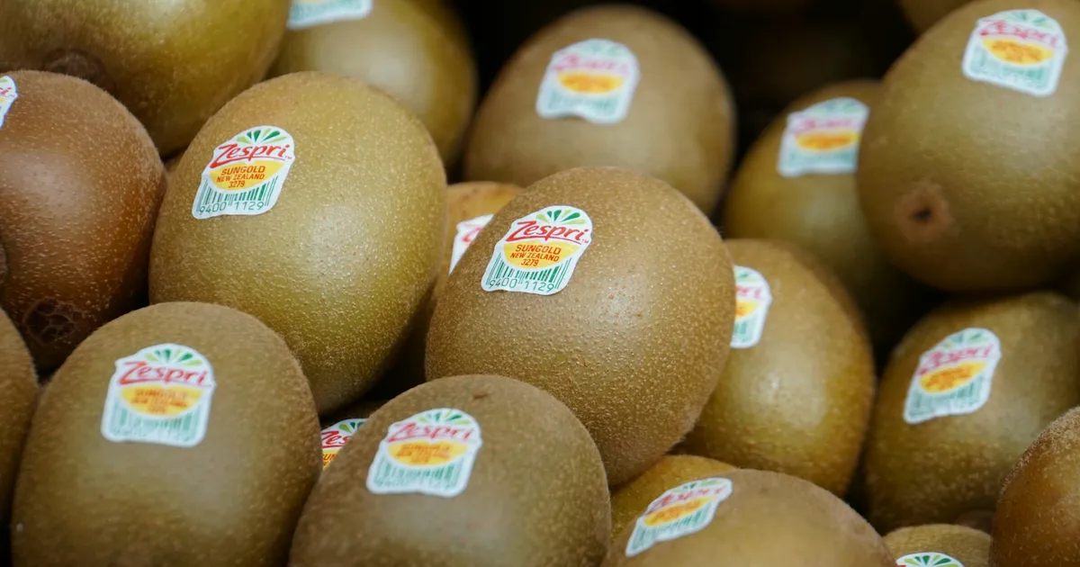 Zespri прогнозирует высокие доходы производителей в сезоне 2026/27